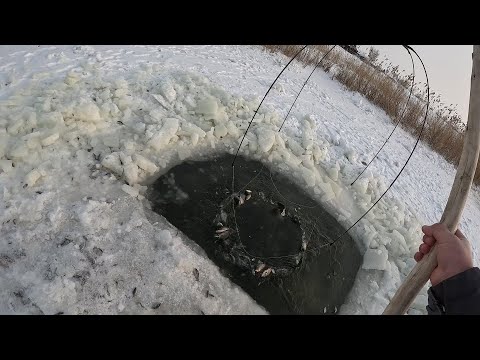 ЖЕСТЬ...ОН ТРЕЩАЛ И РВАЛСЯ, Я НЕ МОГ ЕГО ПОДНЯТЬ ИЗ ВОДЫ!!!  ПАУК ПОЛНЫЙ РЫБЫ НА КАЖДОМ ПОДЪЁМЕ!!!