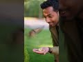 #Funny bird#Baby bird#KidsSayTheFunniestThings#FamilyComedy#ViralShorts#USAReels