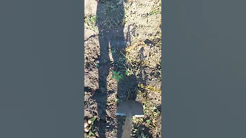 Гайд Как копать картошку 