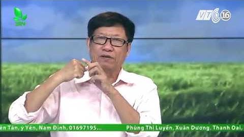 Cách xử lý khi ớt bị rụng hoa