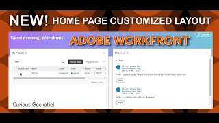 NEW! Workfront Home Page Customized Layout Widgets and Glitch