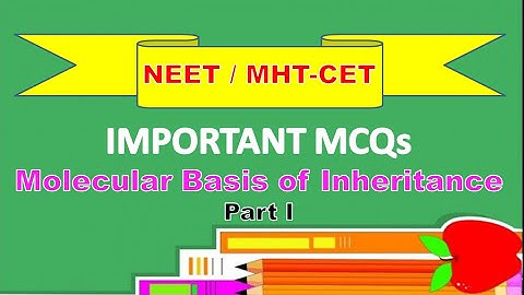 MHT CET / NEET  Molecular Basis Of Inheritance Important MCQs/ Class 12 Biology