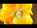 Jetty Rachers &amp; ALTI - Silence ║► Electro