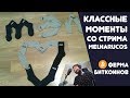 ГРИФЕРУ СЛОМАЛИ НОГУ || КЛАССНЫЕ МОМЕНТЫ СО СТРИМА MELHARUCOS ( МЭЛ )