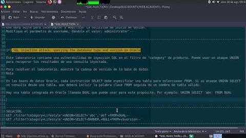 SQL injection attack, querying the database type and version on Oracle