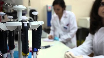 Andalusian Cellular Reprogramming Laboratory, LARCEL (english version)