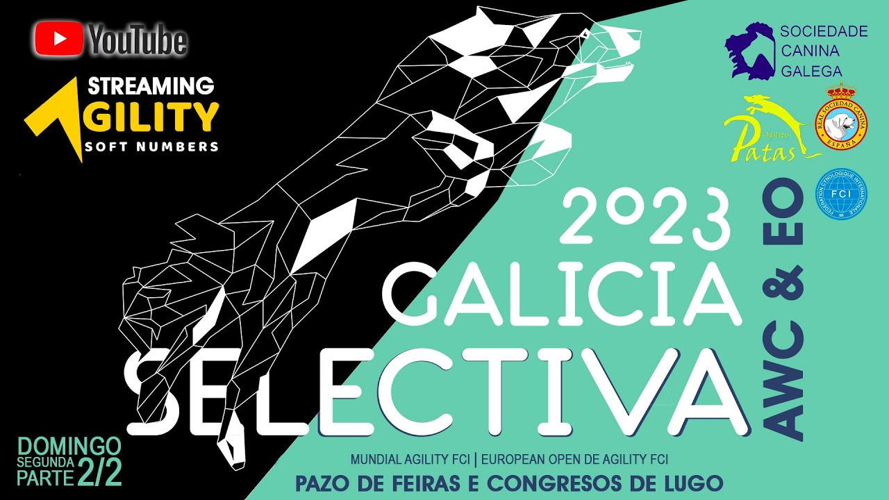 SELECTIVA GALICIA AWC & EO 2023 ( Domingo 29 Enero ) SEGUNDA PARTE 2/2