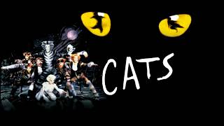 20 CATS Journey to The Heavyside Layer '98 VHS
