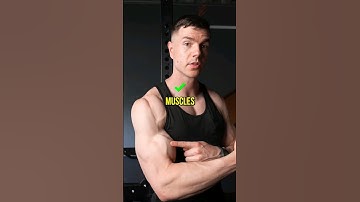 Muscle Building Vs Strength Training