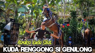 Kuda renggong - Atraksi kuda silat si genjlong