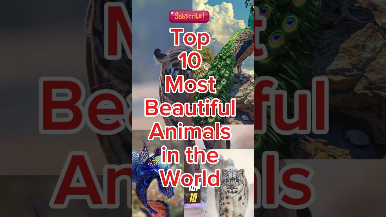 Top 10 Most Beautiful Animals In The World 