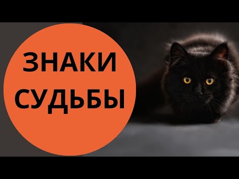 3 важных знака Судьбы