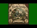 Blanka kuniklo - iom psikedela..