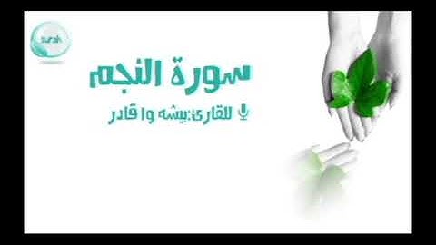 سورة النجم:للقارئ: بيشه-وا قادر الكردي