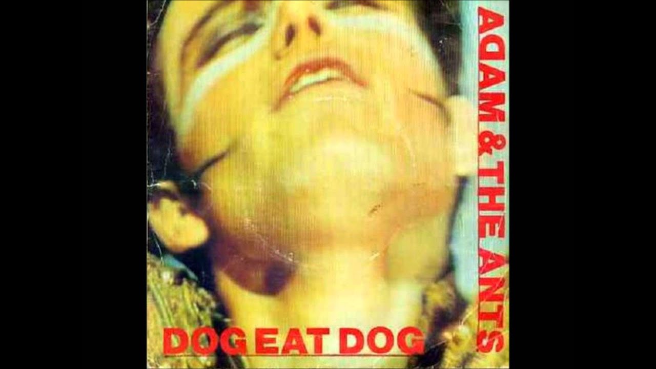 Adam And The Ants Dog Eat Dog