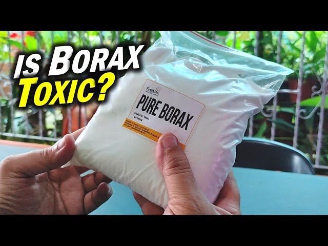 The Shocking Truth About BORAX: Is It TOXIC or SAFE? (sodium