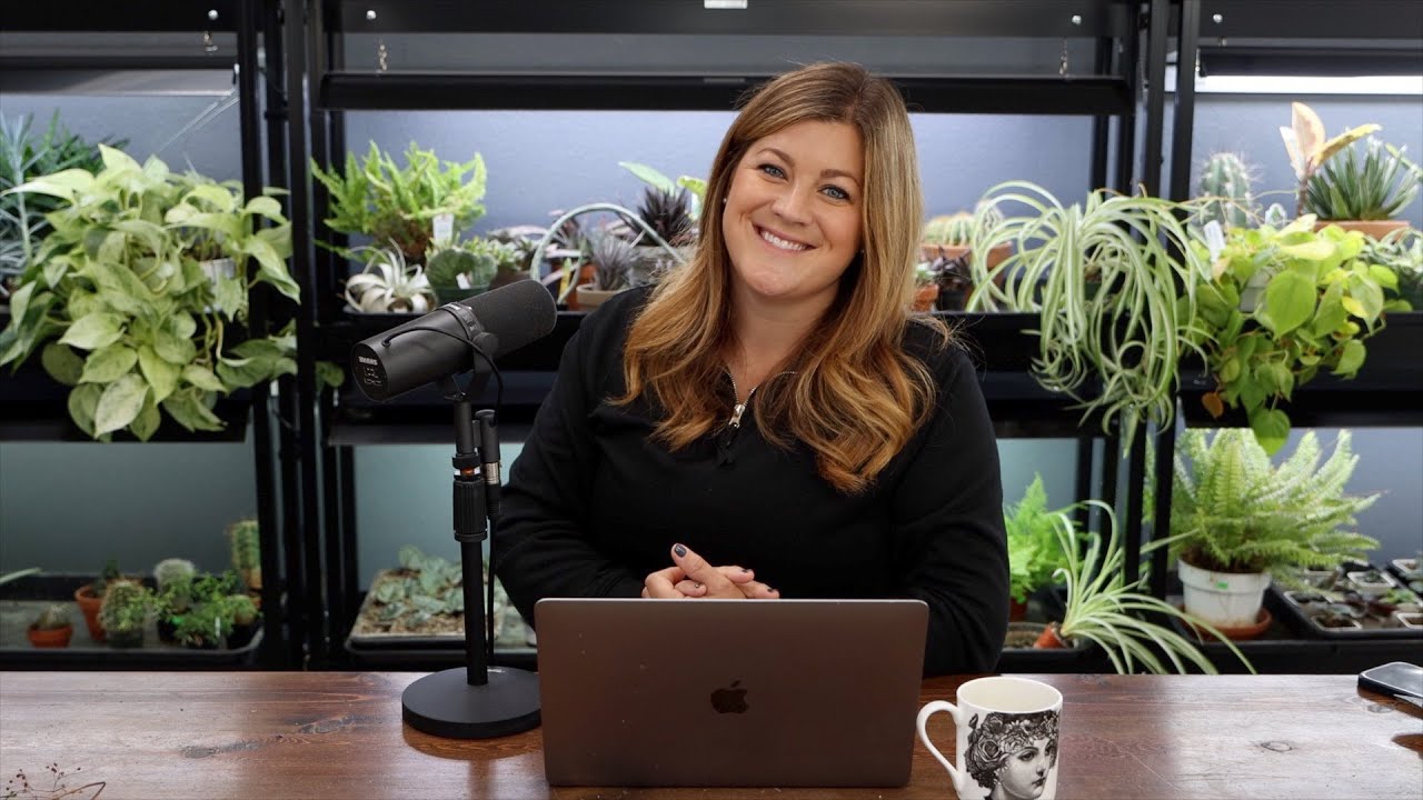 Do Your Cats Use Your Raised Beds as Their Litter Box? // Will You Prune Tomatoes Harder Next