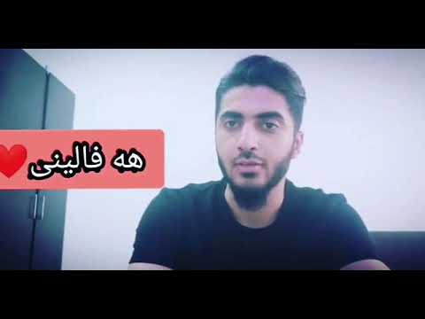 هه فاليني Havaleni