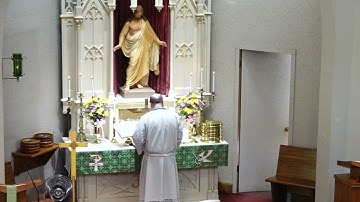 The Divine Service for the Thirteenth Sunday after Pentecost (August 18, 2024)