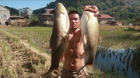 Pa pỉnh tộp mời hai vợ chồng bác chanh bên mỹ | Nhịp Sống Tây Bắc