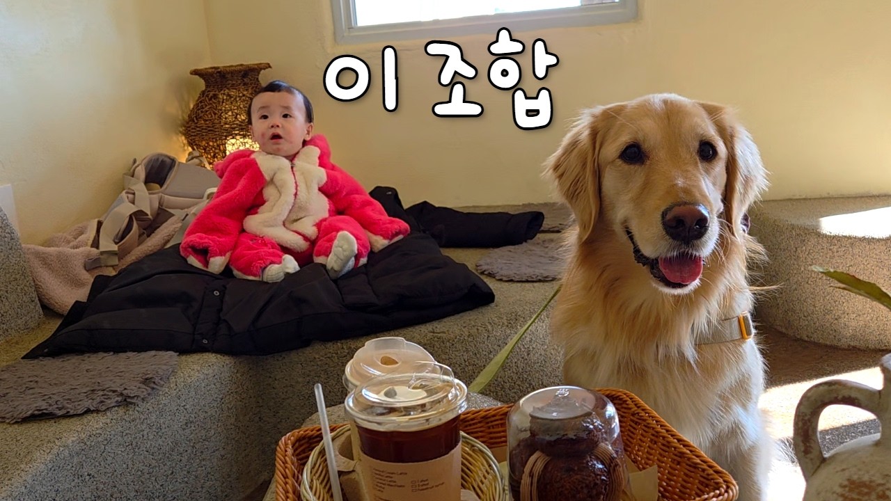 아기와 강아지, 같은 공간 다른 텐션