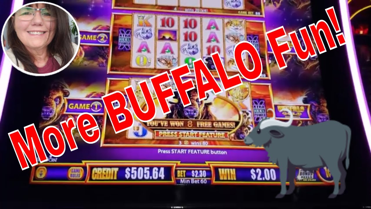 wonder 4 buffalo gold wonder 4 buffalo gold