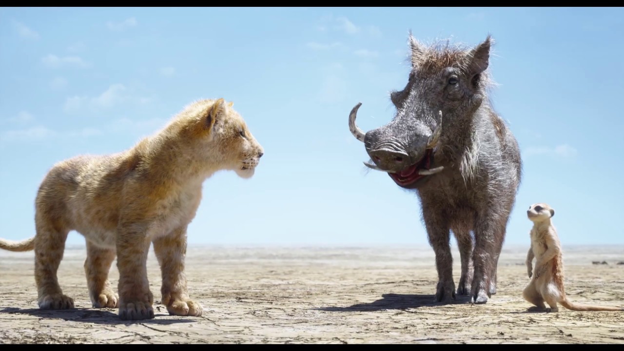 ハクナマタタ 意味