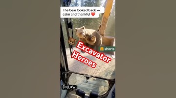 Excavator Driver Becomes a Hero During Mountain Landslide 🦺#excavatorlife #aishorts #bearrescue