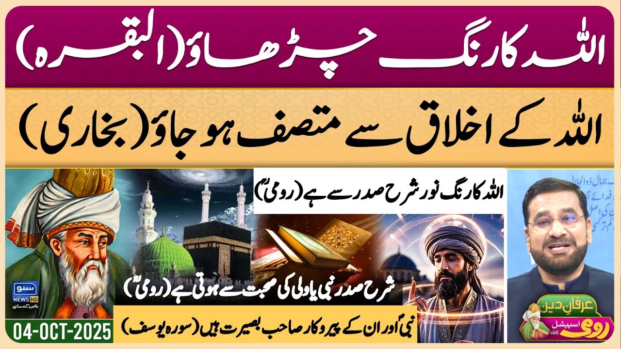 Maulana Rumi | Molana | Maulana | Islam | Quran | Allah | محمد ﷺ | حدیث | Irfan-e-Deen