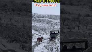 Снег в Африке #африка #снег Снег в Африке #африка #снег