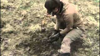 Tree Planting Along the Missisquoi River