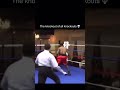 Ultimate KO 🥊