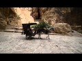 One of the downsides of Petra - the "chariots"