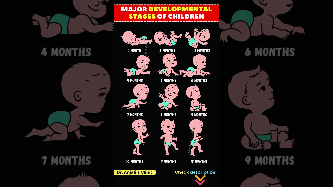 1 To 12 Months Baby Development How Your Grows Month By Guide