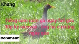 tiếng cúm núm đánh ngày kỷ niệm ae.fail chuẩn 💯