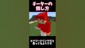 チーターの倒し方 【マイクラ】 #マイクラ