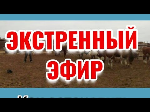 Как остановить уничтожение КРС?