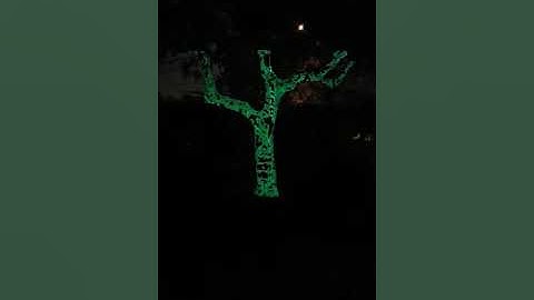 Testing New Lightform LF1