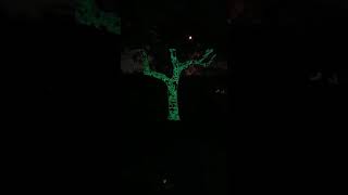 Testing New Lightform LF1