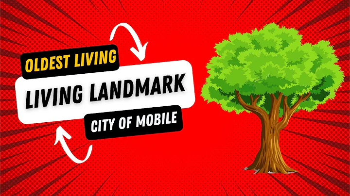 The Duffie Oak: The Oldest Living Landmark in Mobile