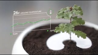 Top 5 Green Technology Which are Useful and Pleasure to Watch