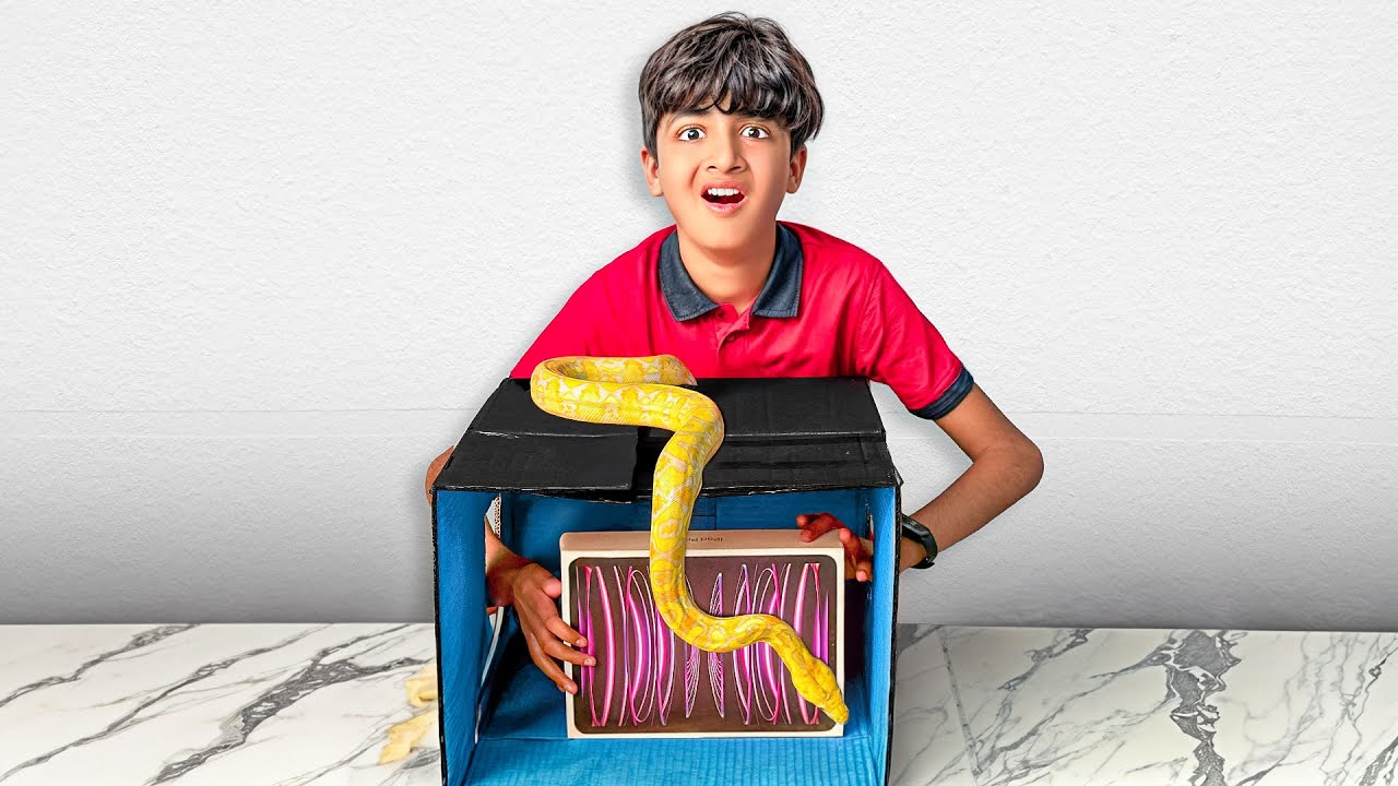 Suprising Mohib with IPAD (Snake Edition)