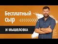 Как не попасть в клетку? О работе с маклером без оплаты его услуг и о бесплатных консультациях.