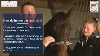 Learn about Strangles. (New Zealand Equine Research Foundation))