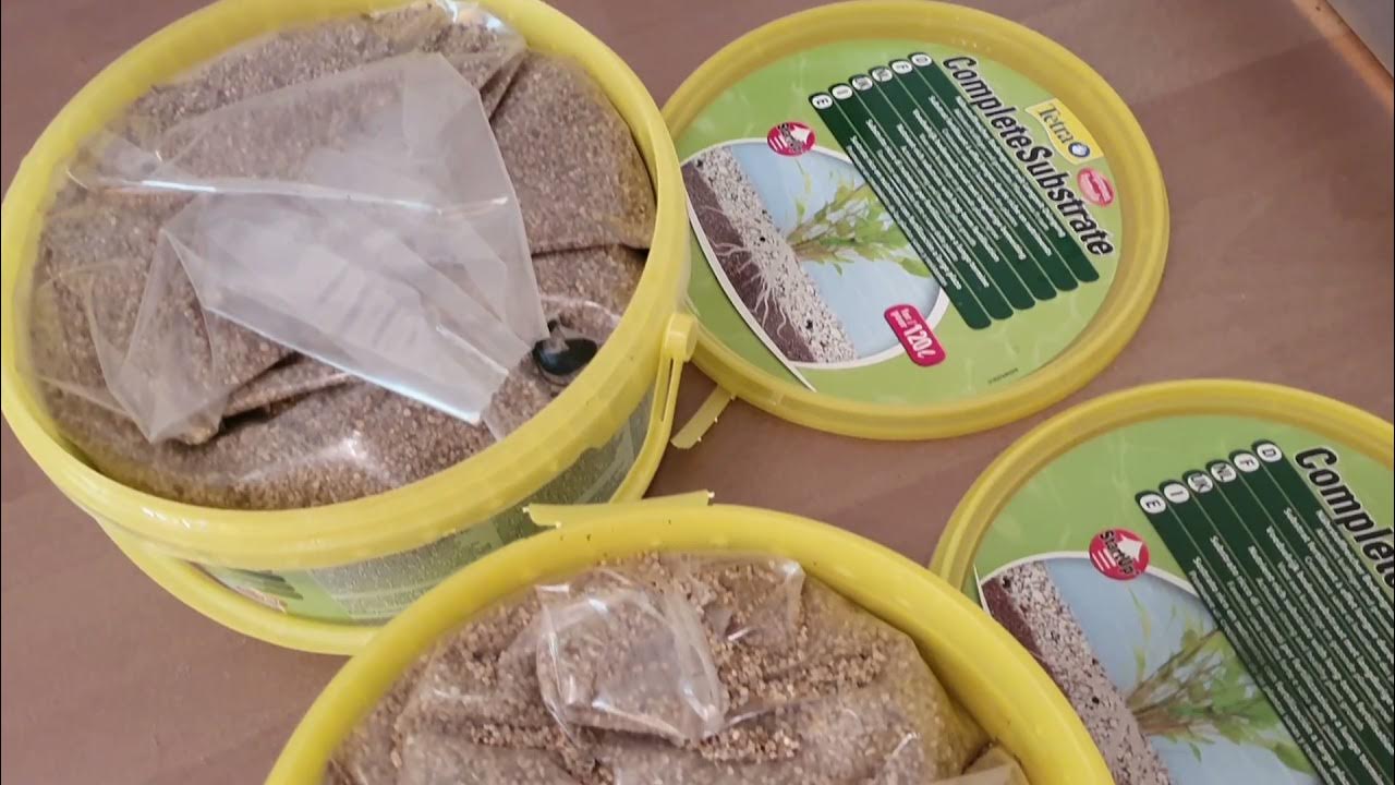 Aquarium Oase Highline 300l - Bodengrund einbringen - YouTube