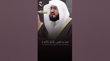 تلاوة مؤثرة لآيات {أَيَحْسَبُ الْإِنْسَانُ أَنْ يُتْرَكَ سُدًى} من سورة القيامة - عبرة وعظة