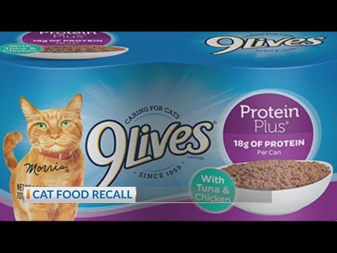 9lives-cat-food-recall