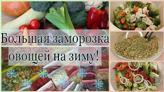 Большая заморозка овощей на зиму! Овощные полуфабрикаты! Как заморозить на зиму перец, лук порей...