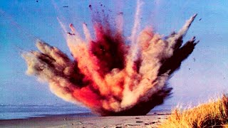 La PEOR Explosión Animal De LA HISTORIA: Ballena Bomba