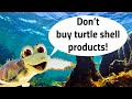 Turtle Foundation - Kimi explains why it is a bad idea to buy turtle shell products